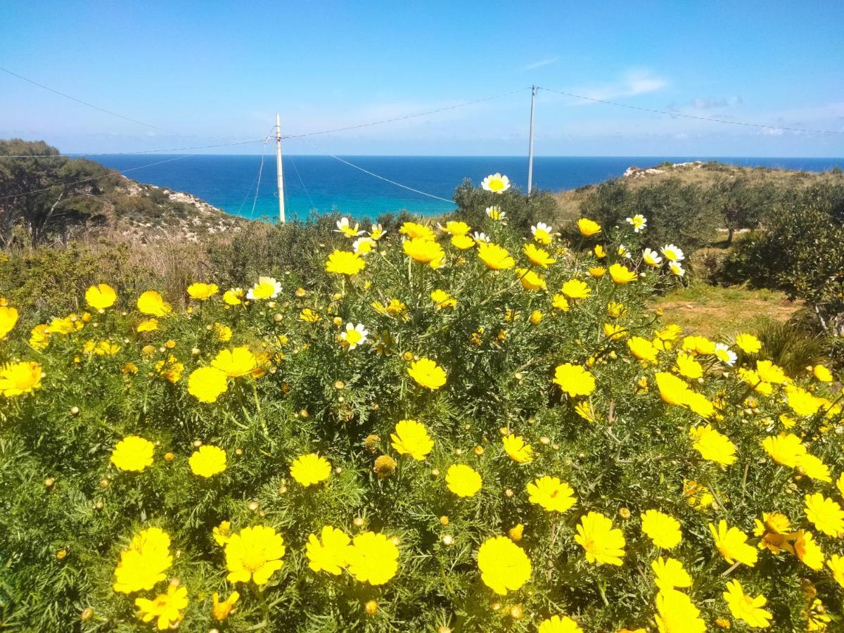 Cala Rossa Ξενοδοχείο Castellammare del Golfo Εξωτερικό φωτογραφία